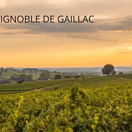 Maison De Charme - La Soursol - Calme - Gaillac Rivieres (Tarn)